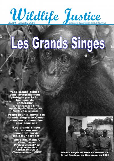 4 - Les grands singes