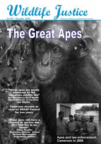 Edition 4 - The Great Apes