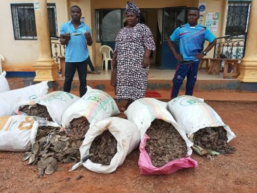 2 militaires arrêtés avec près de 400 kg d'écailles de pangolin