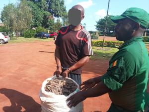 Man arrested with 60kg of pangolin scales