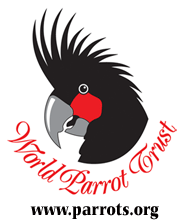  World Parrot Trust
