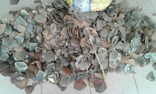 2 traffickers arrested with 128 kg of Giant Pangolin scales.