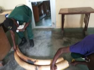 3 people arrested for ivory trafficking
