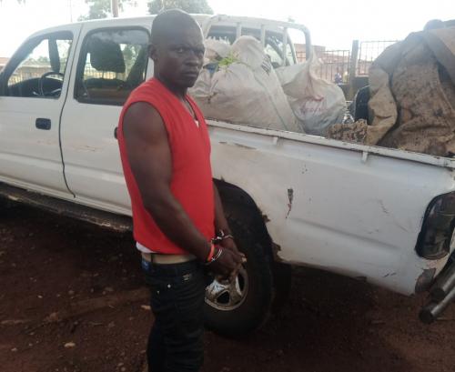 Un trafiquant arrêté avec plus de 77 kg d'écailles de pangolin